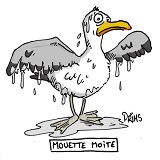 Avatar du membre