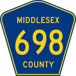 Middlesex_County_Route_698_NJ.svg-2.jpg