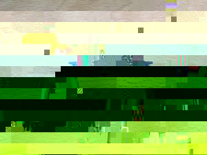 b_8880.jpg